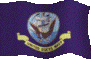 U.S. Navy Flag waving and Link to Website
